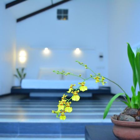 Midigama Holiday Inn Экстерьер фото